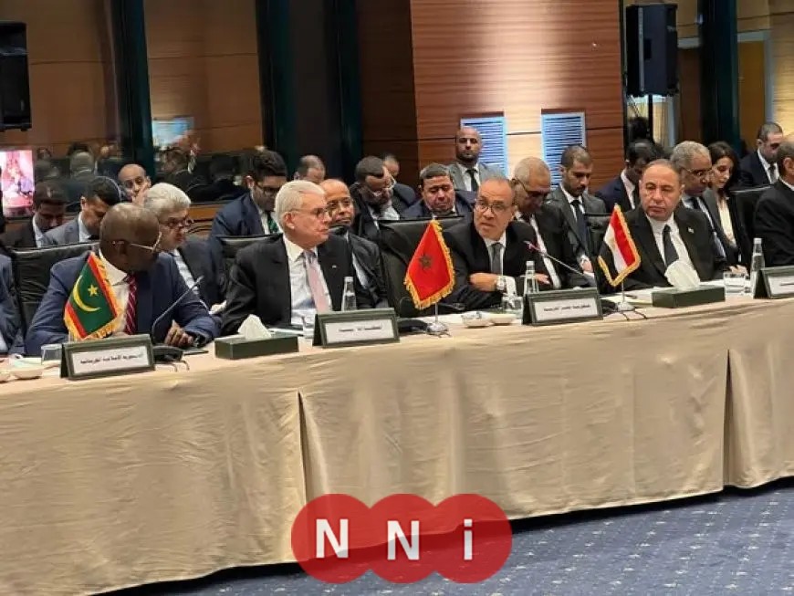 بدر عبد العاطي يشارك في الاجتماع الوزاري العربي في إسطنبول