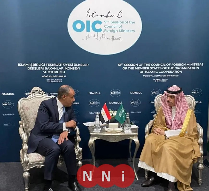 مباحثات وزيري خارجية مصر والسعودية في تركيا: إيران على رأس المواضيع المطروحة