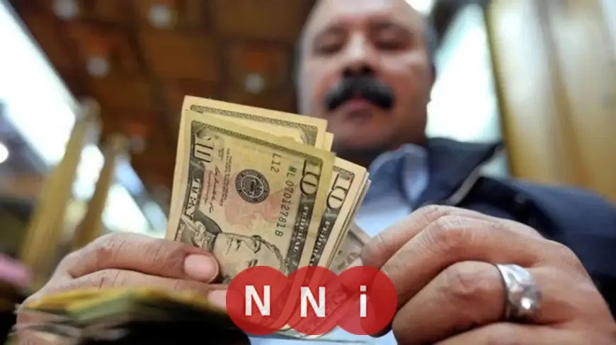 البنك المركزي: 29.4 مليار دولار تحويلات للجالية المصرية بالخارج في 2025/2024