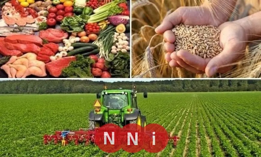 مصر تتخذ تدابير استباقية لضمان الأمن الغذائي في ظل الأزمات الإقليمية