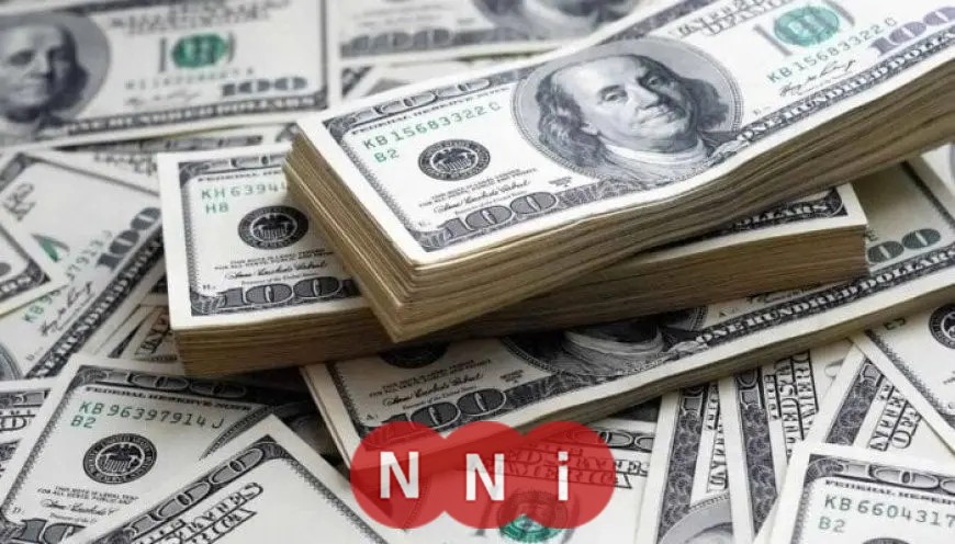 سعر الدولار مقابل الجنيه في منتصف تعاملات الثلاثاء 24 يونيو 2025