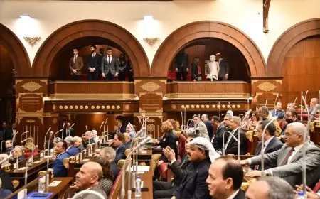 انتخابات مجلس الشيوخ للمصريين في الخارج يومي 1 و2 أغسطس