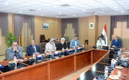 نائب وزير الصحة تبحث تعزيز الشراكة مع جامعة المنصورة لتنفيذ الخطة العاجلة للسكان والتنمية