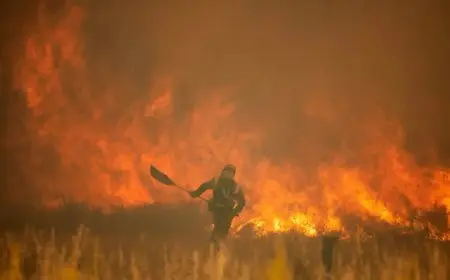 حرائق الغابات تشتعل شرق ألمانيا.. ورياح تهدد بتفاقم الكارثة البيئية