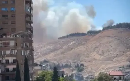 حريق بالقرب من «قصر الشعب» في دمشق.. وتعزيزات إضافية لمواجهة حرائق ريف اللاذقية