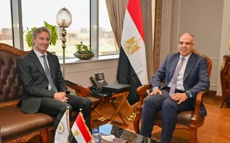 إقامة حواجز بطول 69 كم في 5 محافظات ساحلية باستخدام مواد طبيعية صديقة للبيئة