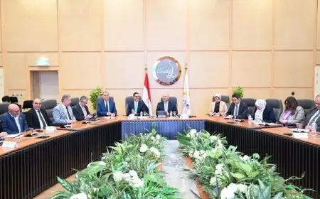 مصر تعزز الانتقال إلى السيارات الكهربائية من خلال إجراءات جذابة للمصنعين المحليين والمصدرين