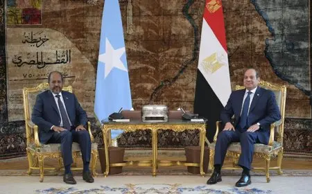 الرئيس السيسي يجري مباحثات مع نظيره الصومالي حول الأوضاع الإقليمية