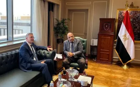 وزيرا الكهرباء والبترول يؤكدان على أهمية الخطة التكاملية والشراكة لتوفير الوقود وضمان استمرارية التغذية الكهربائية