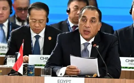 مدبولي في جلسة البريكس: الصحة من أبرز القطاعات لتعزيز التعاون بين الدول