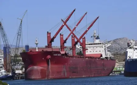 الحوثيون يعلنون عن استهداف السفينة التجارية “ماجيك سيز” في البحر الأحمر