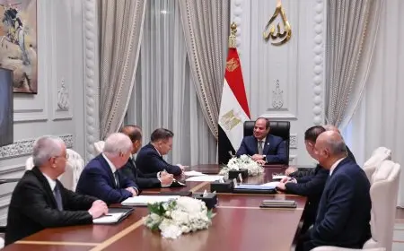 الرئيس السيسي يناقش مع وفد روسي مشروع إنشاء المحطة النووية في الضبعة