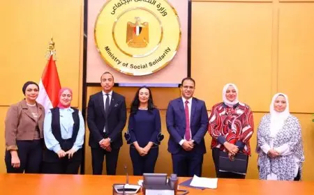 وزيرة التضامن ترأس اللجنة العليا للأسر البديلة وتكريم الأعضاء فيها