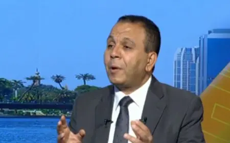 كيف يمكن لخريج الجامعة تجهيز نفسه لدخول سوق العمل؟ فيديو