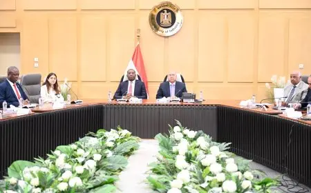 وزير النقل يناقش مع نائب رئيس وزراء الكونغو الديمقراطية طرق تعزيز التعاون