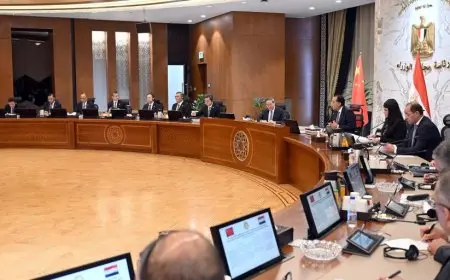 رئيسا وزراء مصر والصين يرأسان جلسة موسعة للمباحثات لتعزيز التعاون الثنائي