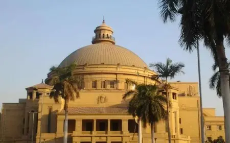 قبل ظهور نتائج الثانوية.. وزارة التعليم العالي تُصدر قوائم الجامعات والمعاهد المعتمدة