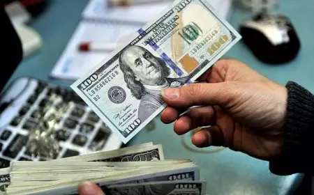 سعر الدولار مقابل الجنيه اليوم السبت 12 يوليو 2025