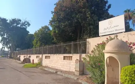 حريق في متحف ركن فاروق بحلوان.. وزارة الآثار توضح التفاصيل