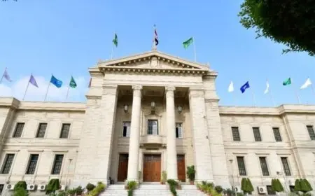 تنسيق الثانوية العامة 2025.. كليات تتيح الالتحاق بناءً على اختبارات القدرات فقط