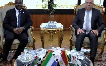 وزير الطيران المدني يناقش آفاق التعاون المشترك مع نظيره السيراليوني