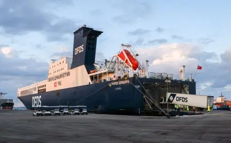 ميناء دمياط يستقبل 19 سفينة في غضون 24 ساعة