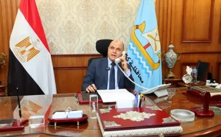 أوائل الدبلومات الفنية 2025 في كفر الشيخ.. تهنئة مميزة من المحافظ