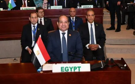 نص كلمة الرئيس السيسي خلال الدورة السابعة لاجتماع القمة التنسيقي لمنتصف العام للاتحاد الأفريقي