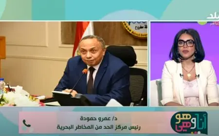 هل تواجه الدول خطر حدوث تسونامي في البحر المتوسط؟.. خبير يوضح الحقائق