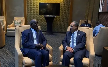 وزير الخارجية والهجرة يعقد اجتماعات متواصلة مع عدد من نظرائه الأفارقة وكبار مسؤولي الاتحاد الإفريقي