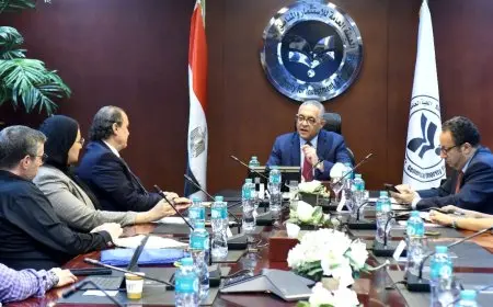 مجموعة كريستال مارتن العالمية تخطط لإنشاء مصنع للملبوسات والمنسوجات في مصر