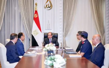 الرئيس السيسي يشدد على ضرورة التنسيق بين الجهات المعنية بحماية الأمن الغذائي