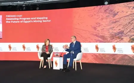 وزير البترول: تحويل هيئة الثروة المعدنية إلى هيئة اقتصادية يعد إنجازًا هامًا للدولة