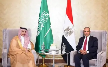 وزير الخارجية يؤكد الرفض التام لأي محاولات يائسة للتأثير على العلاقات المصرية السعودية