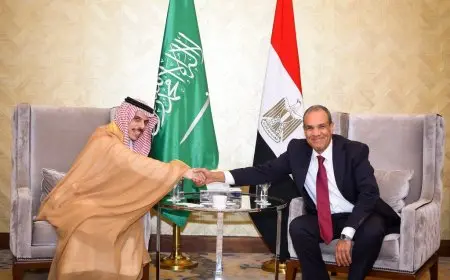 وزيرا خارجية مصر والسعودية يناقشان آخر التطورات في غزة وسوريا