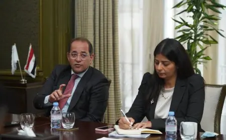 وزير المالية: الاقتصاد المصري يتجه نحو المسار الصحيح