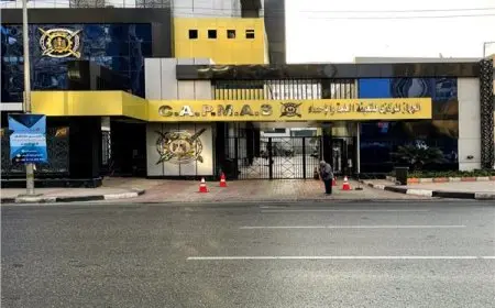 الإحصاءات: ارتفاع بنسبة 97.9% في عدد الموفدين للمهام العلمية في عام 2024