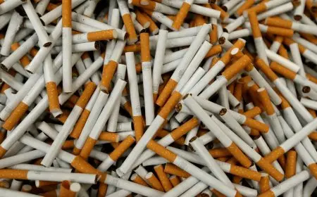 أسعار السجائر اليوم السبت في الأسواق بعد الزيادة الأخيرة