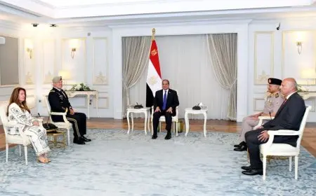 الرئيس السيسي يبرز أهمية قضية نهر النيل كأمن قومي لمصر