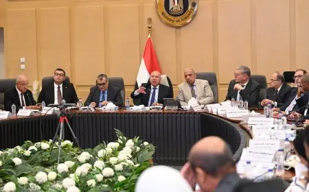 بإستثمارات تبلغ 216.5 مليون دولار.. الموافقة على إنشاء 3 مصانع في 3 محافظات