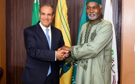 مباحثات استراتيجية بين وزير الخارجية ونظيره النيجيري لتعزيز التعاون الإفريقي