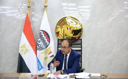 وزير قطاع الأعمال يناقش خطة شركة النصر للإسكان والتعمير مع مجلس إدارتها الجديد