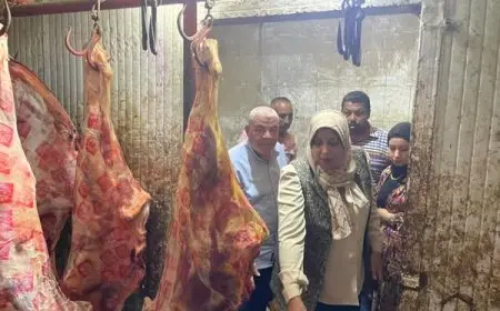 محافظ المنوفية: ضبط 5 أطنان من اللحوم مذبوحة خارج المجازر في قويسنا