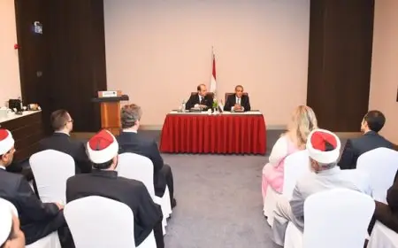 وزير الخارجية يبرز أهمية تواصل مصر مع مواطنيها في الخارج