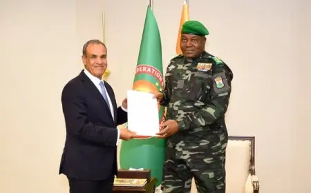 وزير الخارجية يسلم رسالة خطية من الرئيس السيسي إلى رئيس جمهورية النيجر