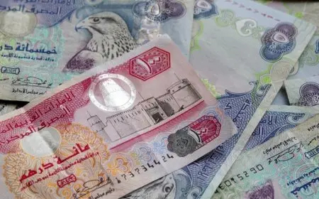 سعر الدرهم الإماراتي مقابل الجنيه اليوم الخميس 24 يوليو 2025