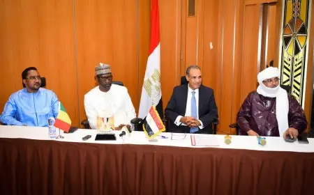 وزير الخارجية يلتقي خريجي الجامعات المصرية في مالي