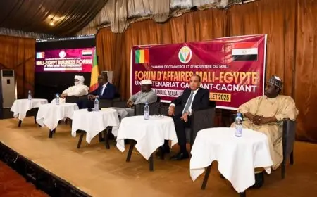 وزير الخارجية يطلق منتدى الأعمال المصري المالي بمشاركة ممثلين من القطاعين العام والخاص