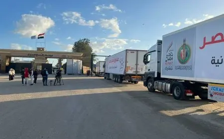 مصدر مصري: دخول 161 شاحنة مساعدات إلى غزة بدءًا من أمس وحتى فجر اليوم