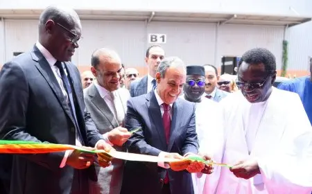 وزير الخارجية يدشّن مصنع “سيلتال” المصري لإنتاج الأدوات الكهربائية في السنغال